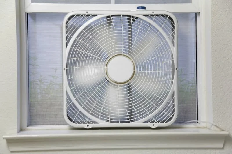 Individual Room Fans