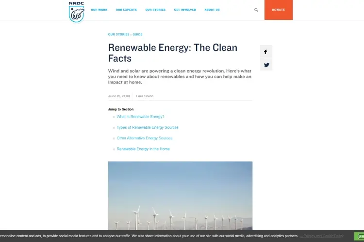 Renewable Energy Niche
