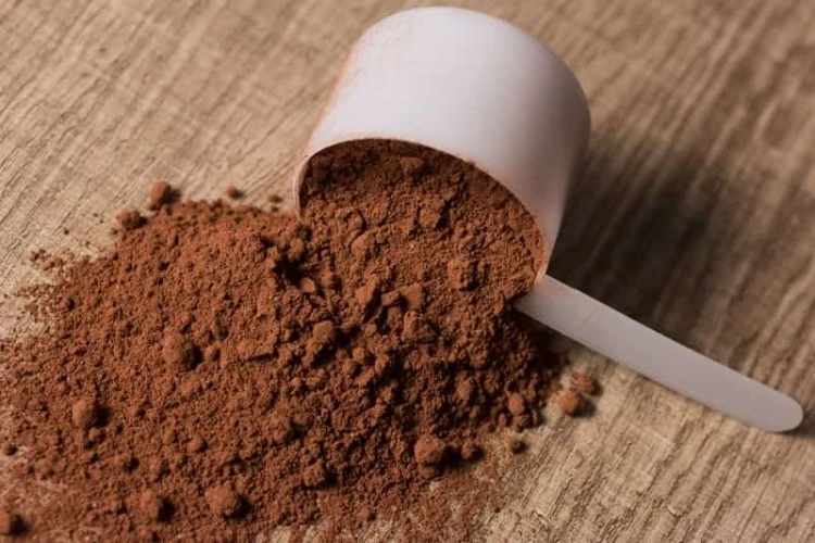 Best Chocolate Protein Powder