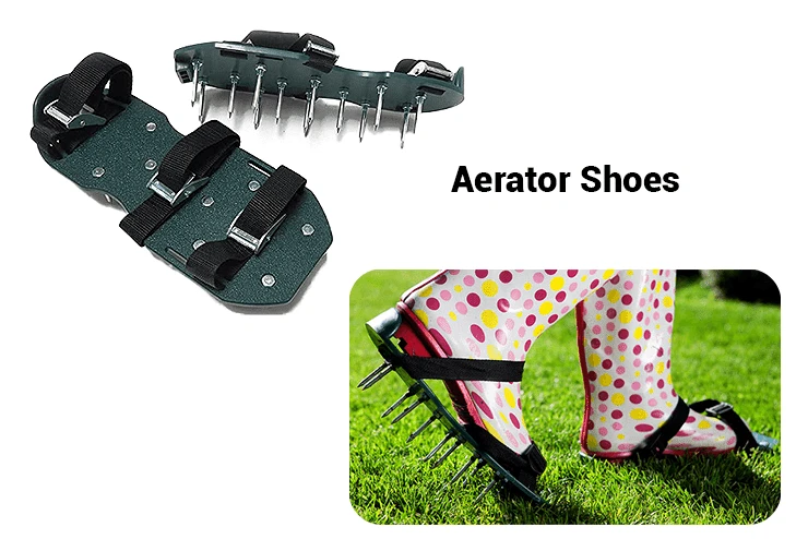 Aerate Shoes