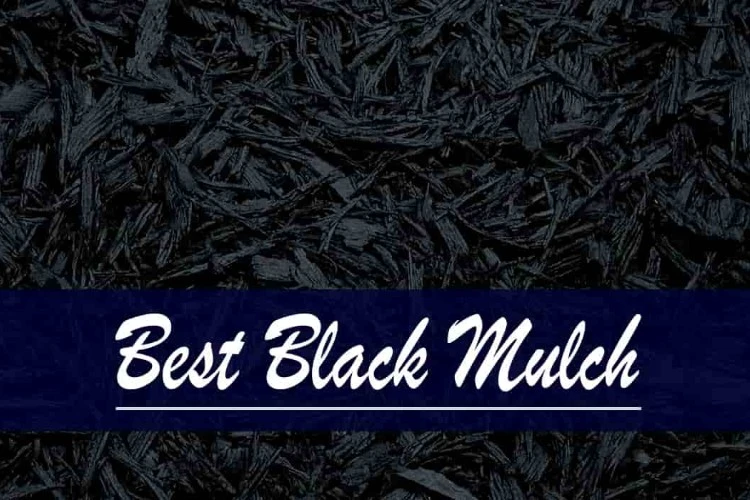 Top 5 Best Black Mulch Reviews