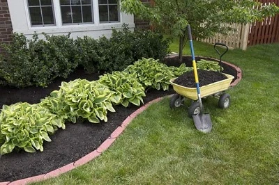 How To Use Black Mulch