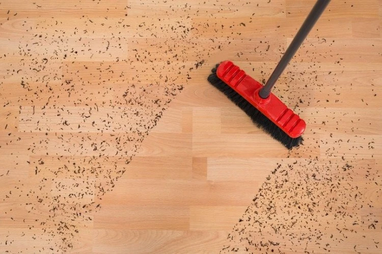 Best Broom Reviews For Tile Floors