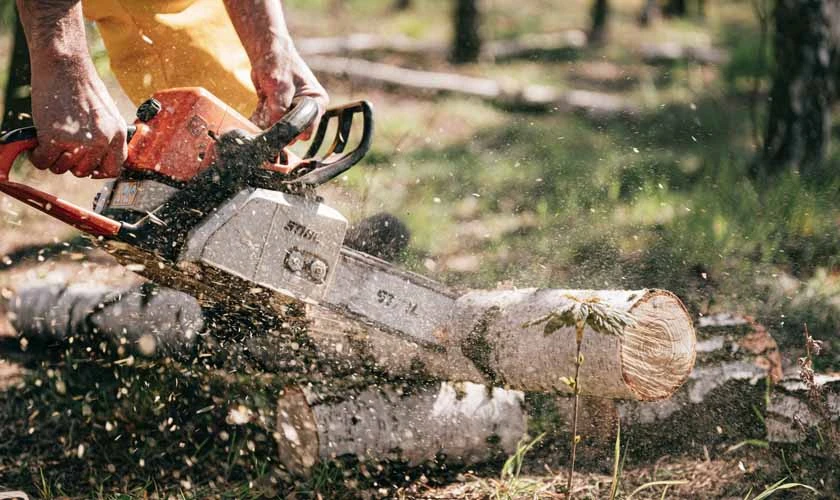 Best Chainsaws in the Market Reviews