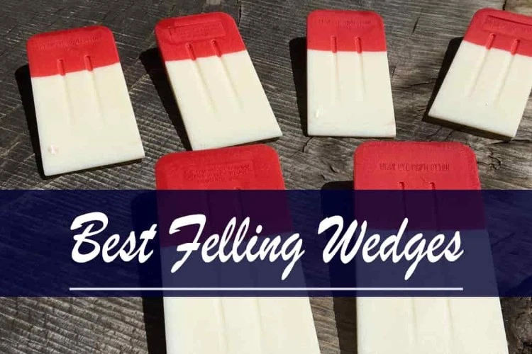 Best Felling Wedges For 2023 [Updated]