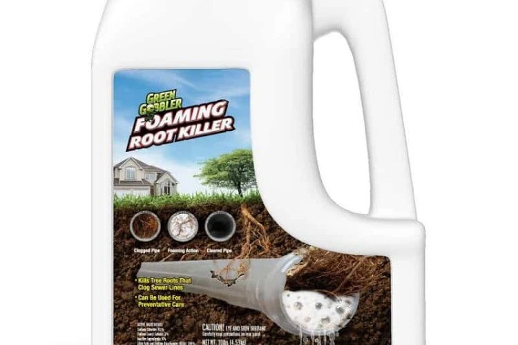 Best Foaming Root Killer