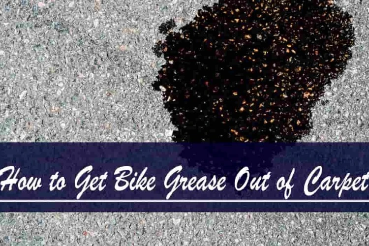 Bike Grease: How To Get It Out Of Carpet?