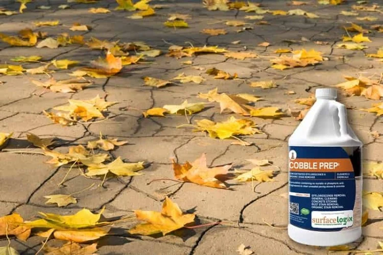 How To Remove Leaf Stains From Concrete Step By Step