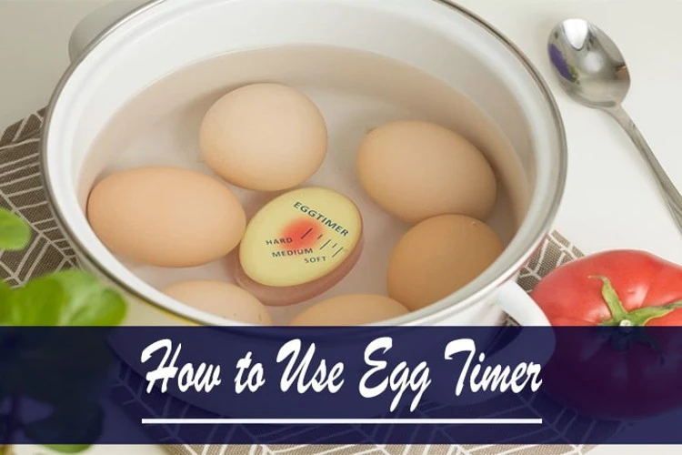 How to Use Egg Timer?