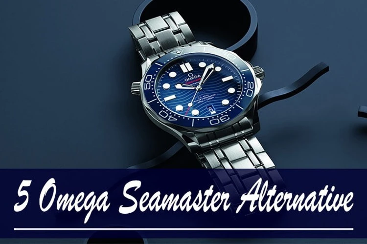 5 Omega Seamaster Alternative