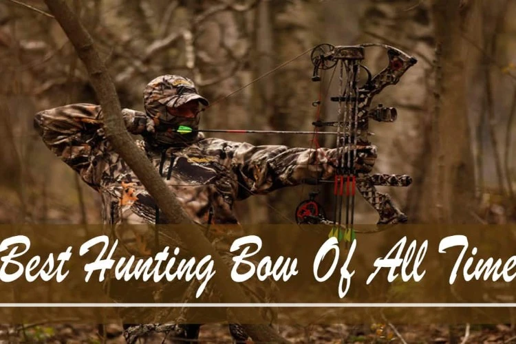 Top 12 Best Hunting Bow Reviews