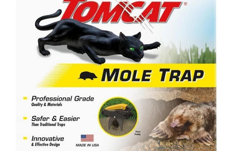 Best Mole Killer Reviews