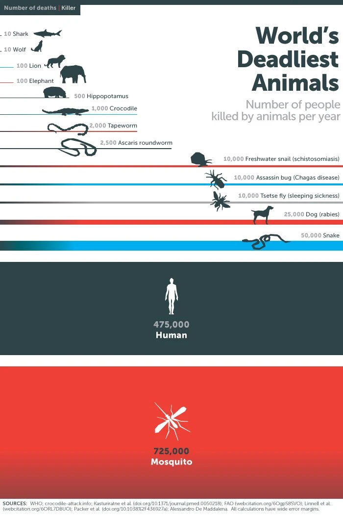 Mosquito Deadliest Animal Graphic