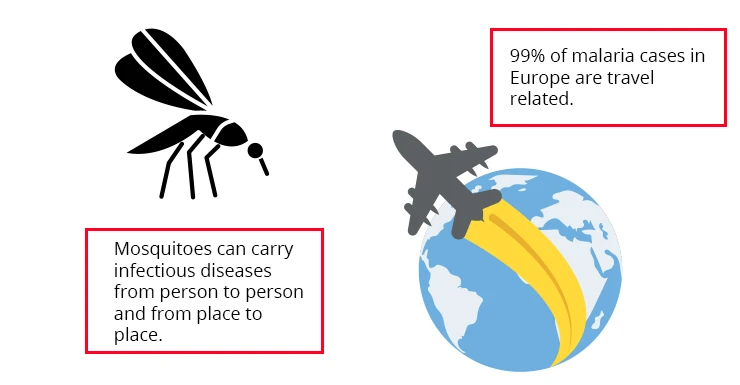 Mosquito-vector-spread-disease