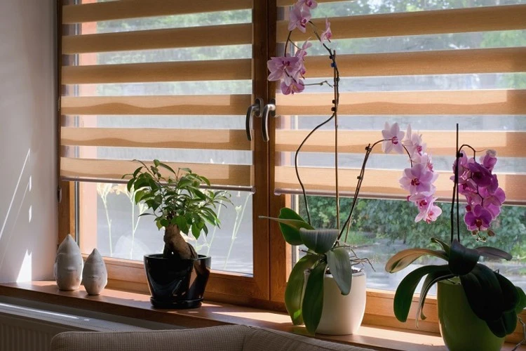 The 5 Best Roller Shades Reviews