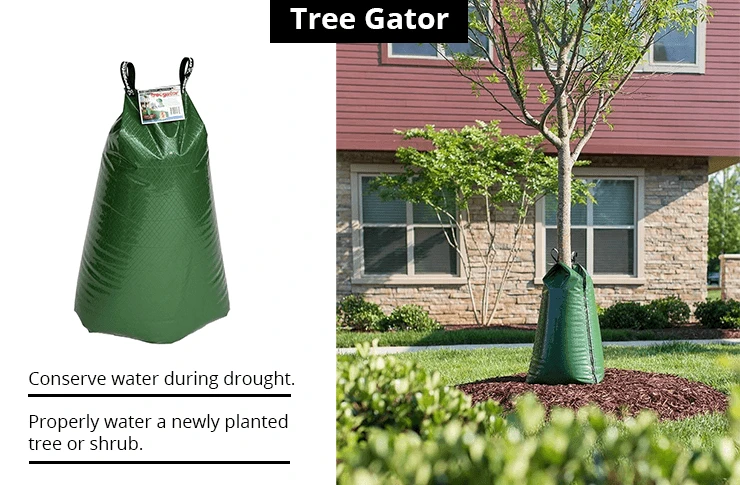 TreeGator Review | Essential Tree Watering Bags
