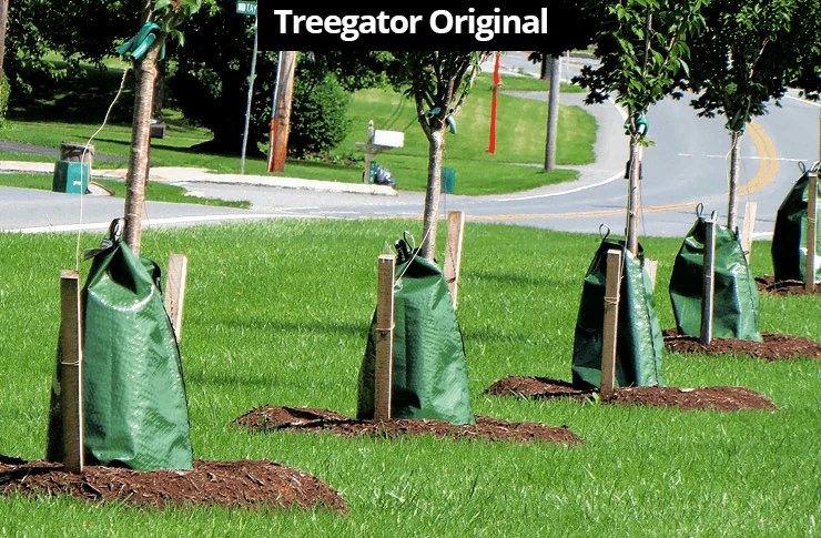 TreeGator Review | Essential Tree Watering Bags