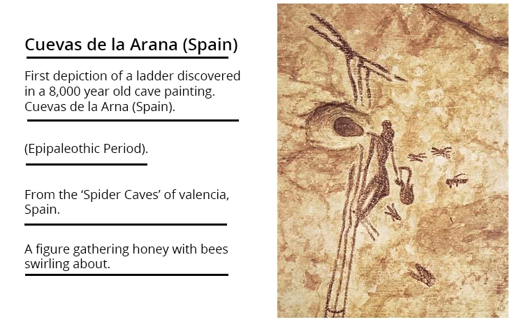 Honeybees-ladder-spider-caves-spain