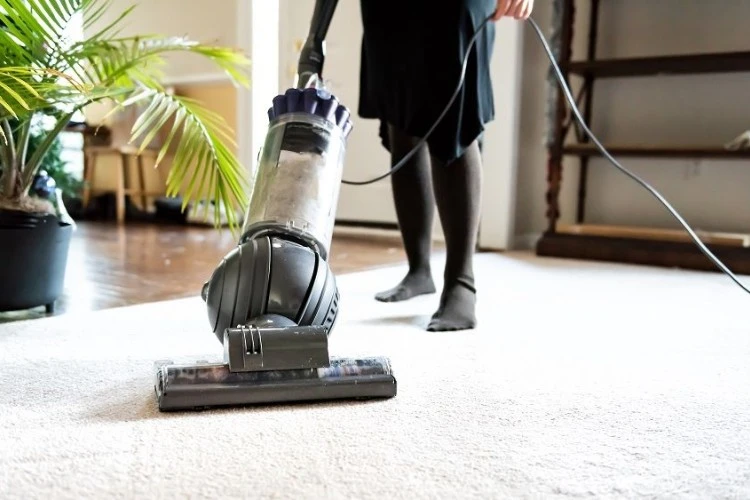 Best Suction Vacuum Cleaner Reviews