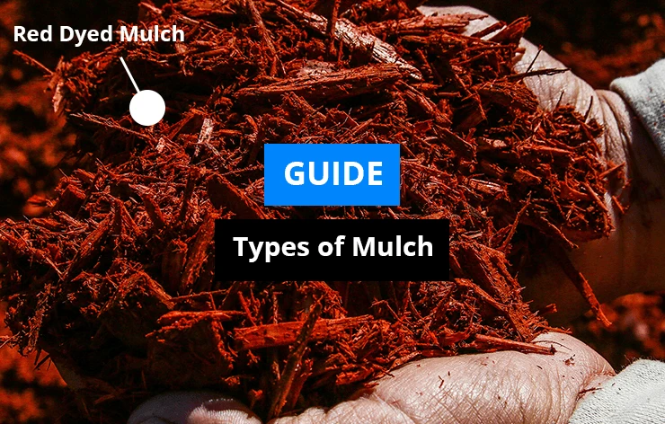 Mulching Guide