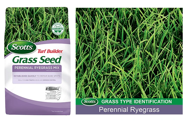 Scotts 18363 Turf Builder Grass Seed-Perennial Ryegrass Mix