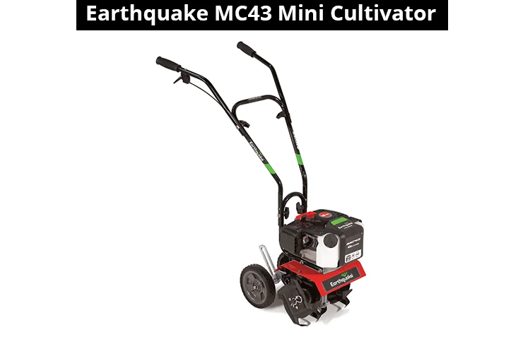 Earthquake MC43 | Small Gardens