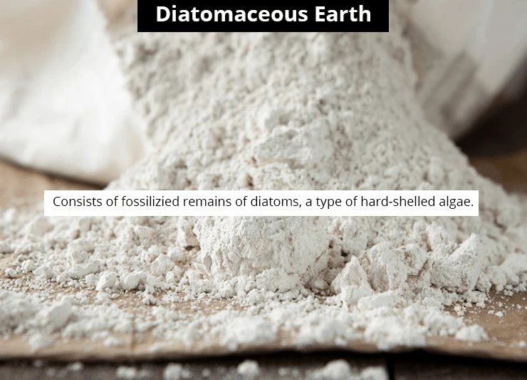 Diatomaceous Earth