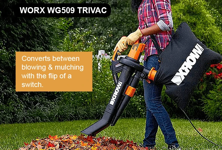 WORX TriVac WG509