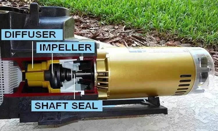 How to Replace a Pool Pump Motor?